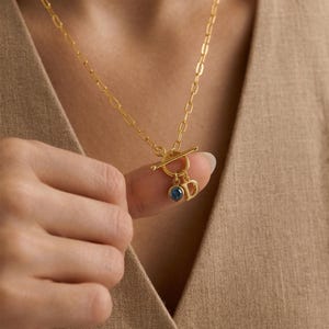 May include: A gold-colored necklace with a toggle clasp and a pendant featuring a blue gemstone and the letter "D". The necklace is displayed against a neutral background.