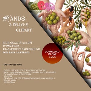 May include: Digital clipart featuring hands holding green olives and olive branches. The image includes text that reads "HANDS & OLIVES CLIPART" and "DOWNLOAD IN ONE CLICK". The clipart is suitable for digital stickers, sublimation designs, and more.