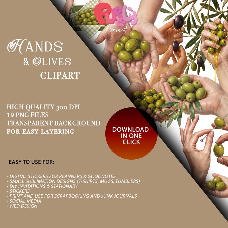 May include: Digital clipart featuring hands holding green olives and olive branches. The image includes text that reads "HANDS & OLIVES CLIPART" and "DOWNLOAD IN ONE CLICK". The clipart is suitable for digital stickers, sublimation designs, and more.