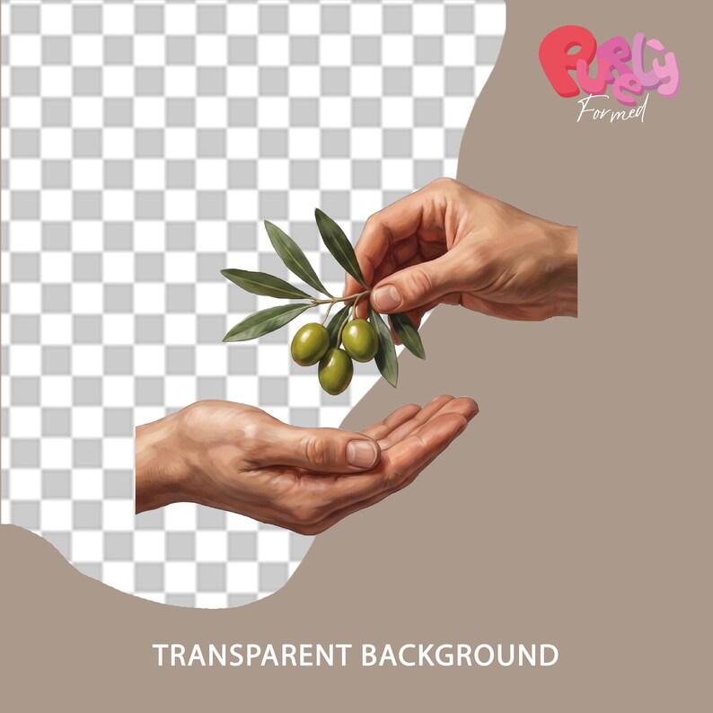 May include: An artistic rendering of hands holding an olive branch with green olives. The text "TRANSPARENT BACKGROUND" is at the bottom. The logo "Furly Formed" is in the upper right corner.