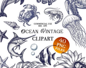 Vintage engraving ocean sea creatures clipart PNG bundle set Navy blue etching style nautical designs invites birthdays transparent 300 DPI