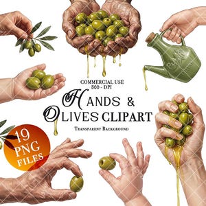 May include: Digital clipart featuring hands holding green olives, olive branches, and an olive oil pitcher. The image includes the text "HANDS & OLIVES CLIPART" and "19 PNG FILES". The olives are depicted with dripping olive oil.