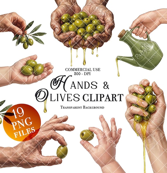 Hands with olives clipart bundle PNG digital download freshly pressed olive oil juice extraction from olives baby's hands male hand female