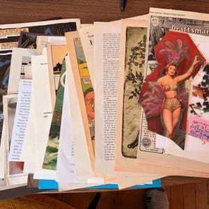 May include: A selection of vintage paper items, including comic strips, newspaper cuttings, and magazine cutouts. A cutout of a woman in a gold bikini and feather boa is visible. A partially assembled jigsaw puzzle and a pink card are also present.