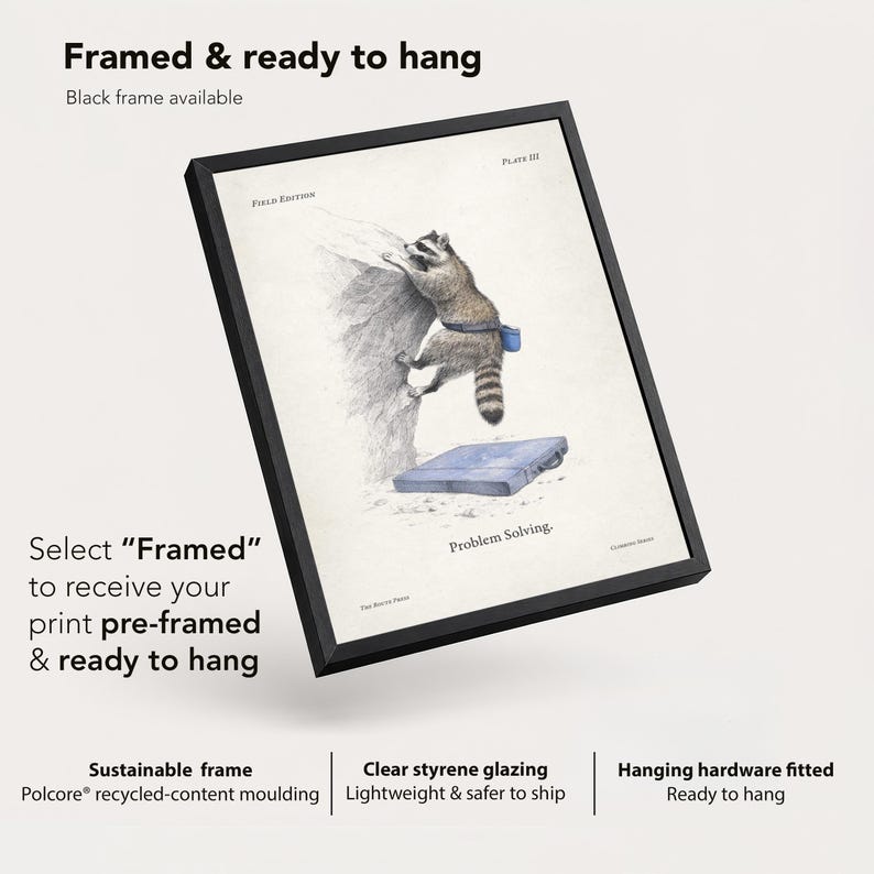 Raccoon Bouldering Print, Funny Climbing Wall Art, Field Edition Poster ...