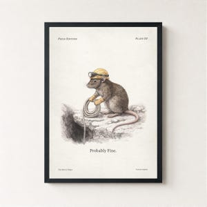 Lámina vintage de espeleología con ratas, arte mural de explorador de edición de campo, póster de espeleología