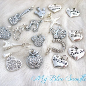xinqinghao 30 pc heart shape charms bling charms for jewelry