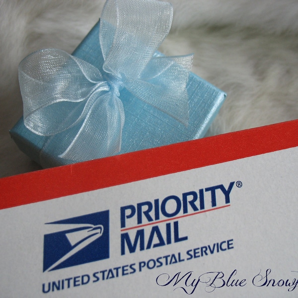 Express Mail Upgrade (Overnight) by My Blue Snowflake