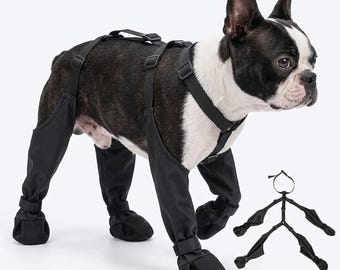 Botas impermeables para perros: protectores resistentes antideslizantes para las patas, ideales para senderismo y paseos.