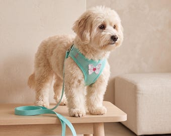 Cute Butterfly Dog Harness Set-Breathable Mesh Puppy Vest with Leash-Adjustable Small Dog Cat Harness-Outdoor Walking Pet Gear