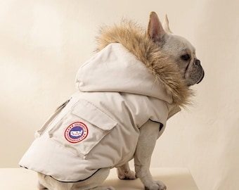 Insulated Winter Dog Coat with Fur Hood for Small Pets