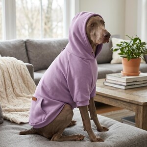 Puede incluir: Un perro Weimaraner con una sudadera con capucha lavanda con un bolsillo de canguro y un parche de cuero marrón. El perro está sentado en un sofá gris en una sala de estar luminosa.