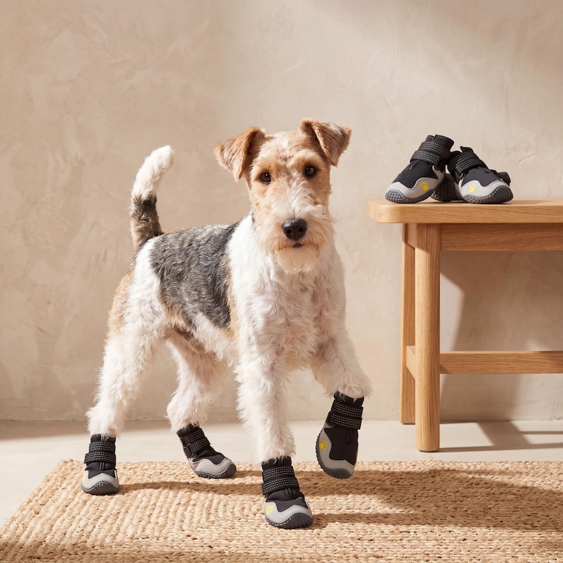 Puede incluir: Un perro con botas negras y grises para perros con detalles amarillos. El perro tiene una mezcla de pelaje blanco, negro y marr&oacute;n. Dos pares de botas para perros est&aacute;n sobre una mesa de madera.