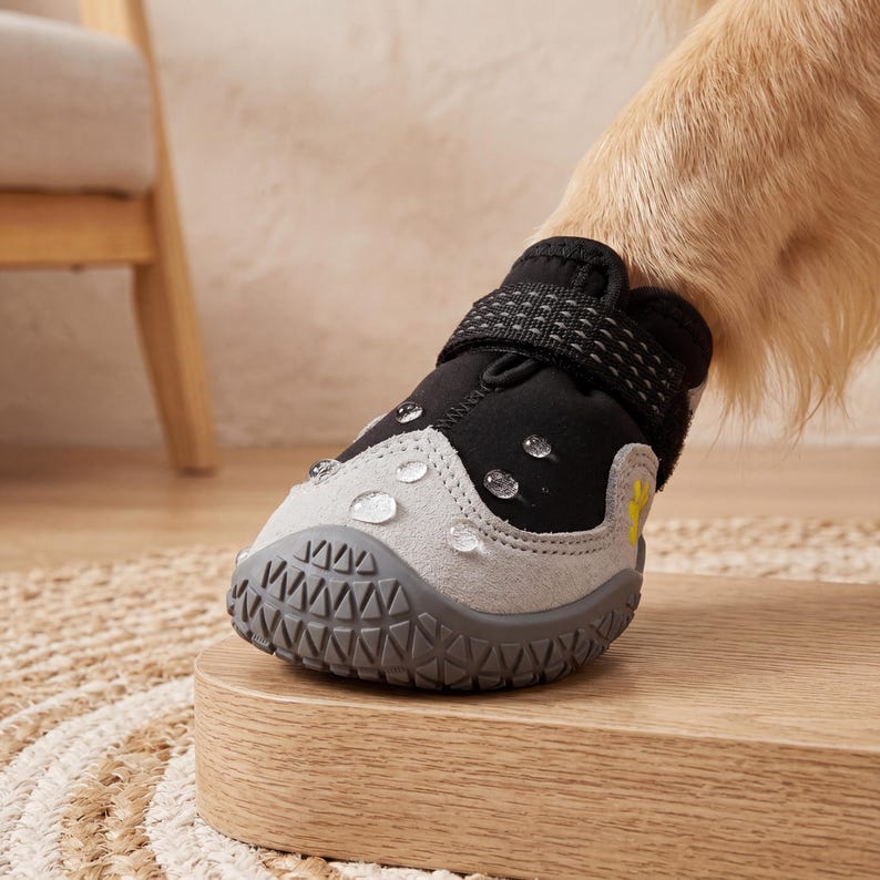 Puede incluir: Una bota para perros negra y gris con una correa de velcro, dise&ntilde;ada para proteger la pata de un perro. La bota tiene un material gris similar al ante en la parte delantera y una parte superior negra. La suela es de color gris oscuro con un patr&oacute;n texturizado. Se ven gotas de agua.