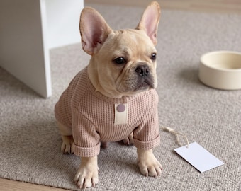 Chaleco fino para perros - Camiseta suave de poliéster para mascotas - Conjunto para cachorros de chihuahua - Camiseta interior ligera para perros y gatos - Ropa transpirable para todas las estaciones