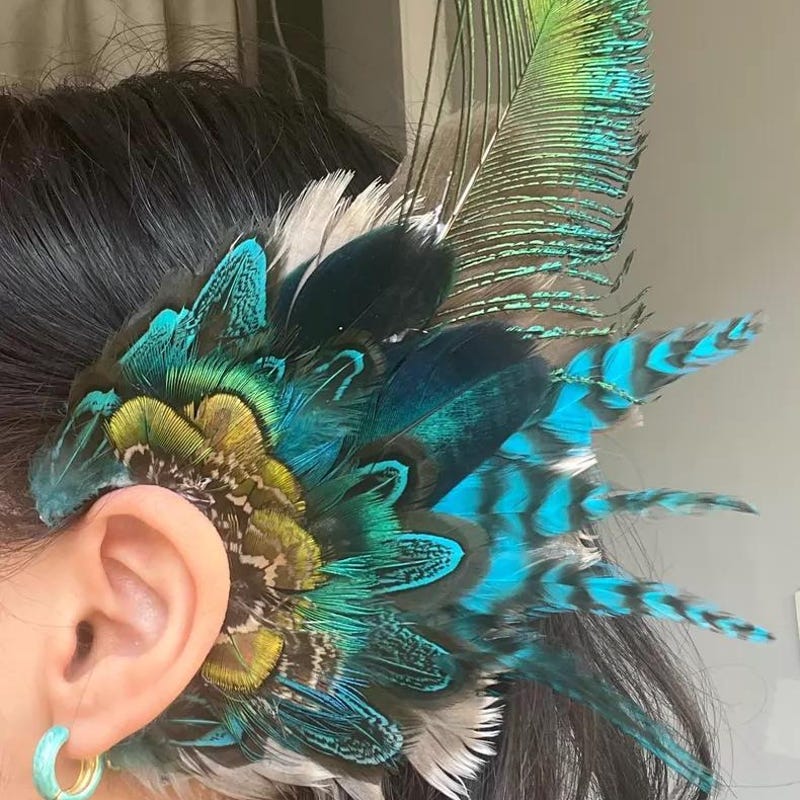 Peacock Wing Costume - Etsy