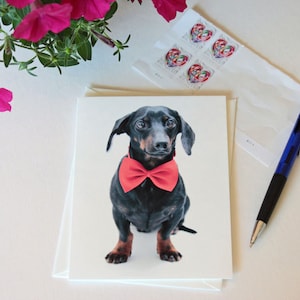 May include: A black and tan dachshund wearing a red bow tie sits on a white background. The dog is looking directly at the camera.