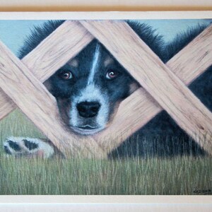 May include: A black and white dog with brown eyes peeks through a wooden fence. The dog's nose is visible, and the fence is made of criss-crossed wooden slats.