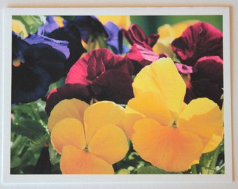 1 Primary Colors, pansies flowers note card, blank greeting card, flower photo, red, yellow, blue, photo note card, garden, nature