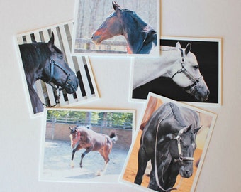 Horse Photos 1 assorted box of 10 blank note cards w/envelopes, photo greeting cards, horse art, equestrian cards