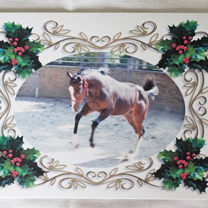 1 small Horse Christmas card, holiday card, bucking horse, equine greeting card, horse lovers, photo greeting card, blank or with verse