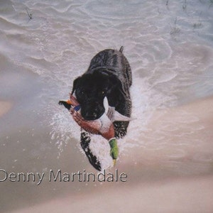 Dog art, Dog print, Hunting dog, Black Lab, open edition fine art print, giclee print, wildlife art, sporting art, realism