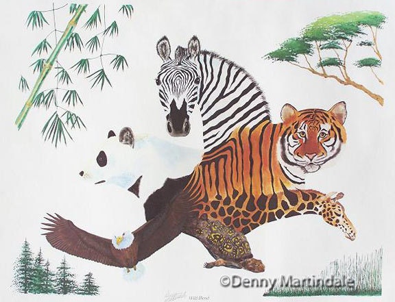Zebra, Tiger, Panda, Giraffe,turtle, Eagle Fine Art Print
