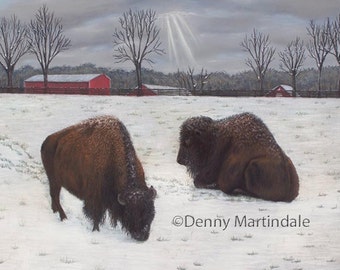 Buffalo, buffalo art, animal art, fine art print, giclee print, limited editon print, wildlife art, bison, collectable art, home decor