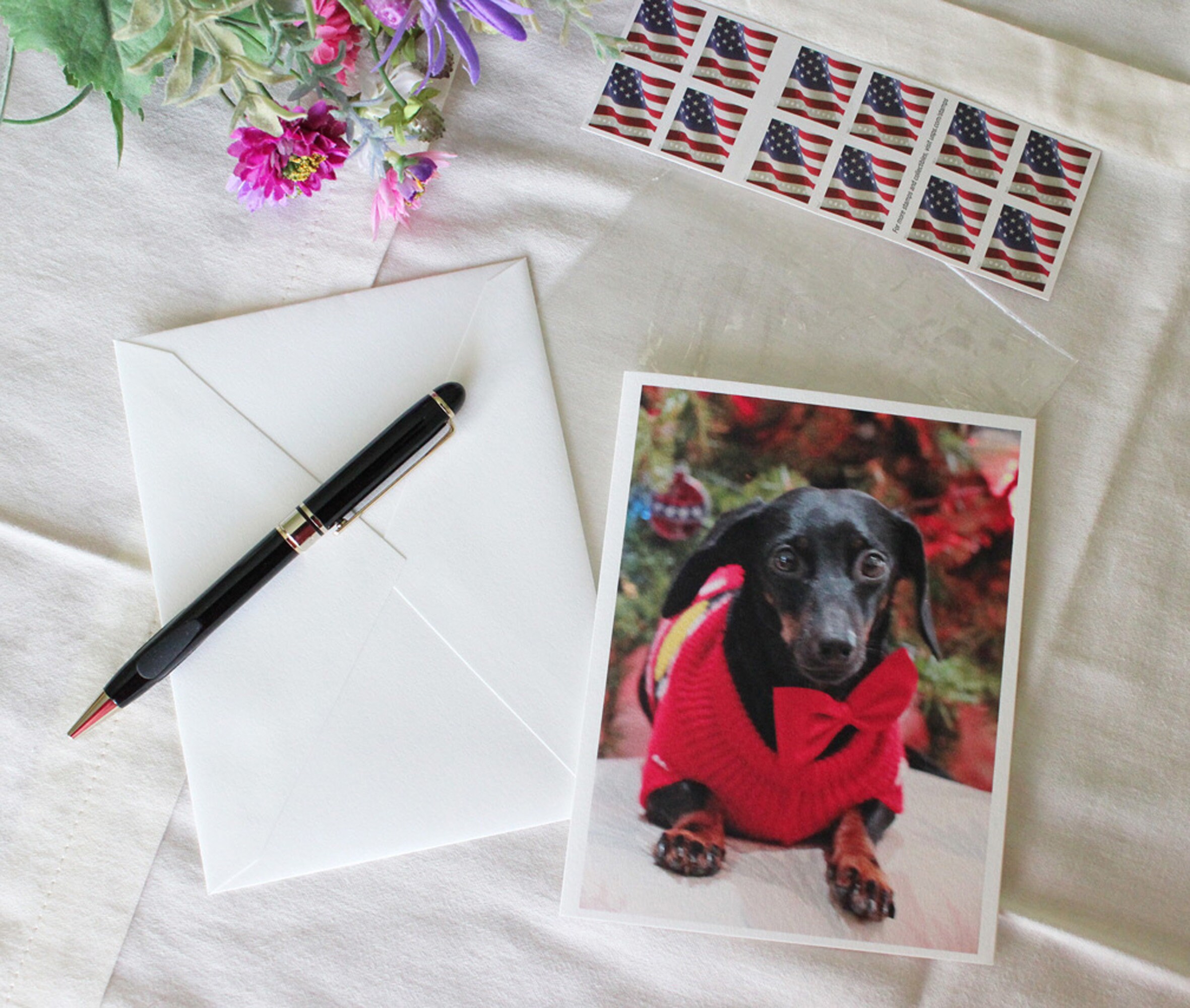 Dachshund Christmas Cards, Waiting for Santa, Boxed Set, 10 Christmas