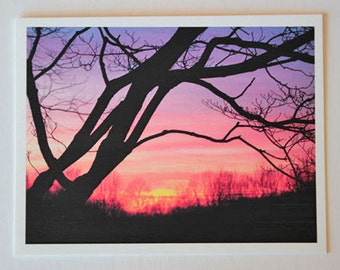 1 Primm Springs Sunset note card, blank greeting card, fine art, winter tree at sunset, photo greeting card, colorful, brilliant, purple