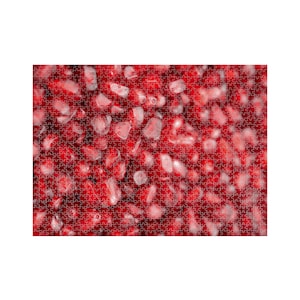 May include: A close-up view of a completed jigsaw puzzle. The puzzle pieces are a deep red color, with lighter red and white pieces interspersed throughout. The image is a close-up, showing the texture and detail of the puzzle.