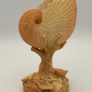 Puede incluir: Un jarrón de cerámica con forma de concha de nautilo que descansa sobre una base de conchas más pequeñas y una estructura similar a un árbol. La pieza presenta tonos melocotón pálido y crema con detalles pintados en oro en los bordes.