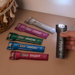 May include: A selection of coloured flashlights, including silver, purple, green, blue, and red. Each flashlight has a name printed on it: Kathy, Eirene, Marlon, Jamina, Galeno, and Platon. One flashlight is illuminated.