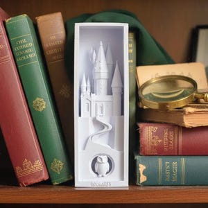 May include: A white, rectangular, 3D-printed Hogwarts castle night light. The design features the castle, a winding path, and an owl. The word "HOGWARTS" is printed at the bottom. The night light is displayed on a wooden shelf with books.