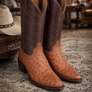 Può includere: Un paio di stivali alti in stile western con gambale in pelle marrone scuro e piede in pelle di struzzo color cuoio con un caratteristico motivo a pori. Gli stivali presentano una punta affusolata, un tacco a blocco e tiranti sul gambale.