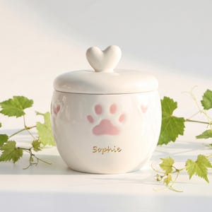 Unique Commemoration, Custom Ceramic Pet Urn, Personalized Dog & Cat Ashes Memorial, Unique Tribute for Beloved Animals, Gift for Pet