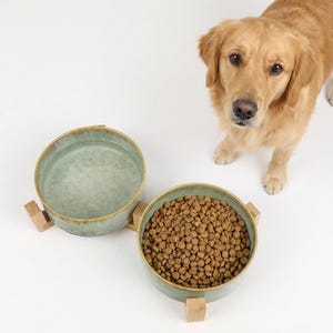 May include: Two ceramic pet bowls, one filled with water and the other with dry food, sit on wooden stands. A golden retriever dog stands nearby, looking up. The bowls have a speckled, light green glaze and a brown rim.
