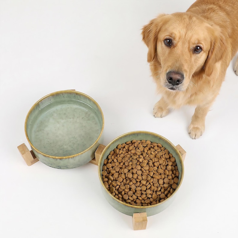 May include: Two ceramic pet bowls, one filled with water and the other with dry food, sit on wooden stands. A golden retriever dog stands nearby, looking up. The bowls have a speckled, light green glaze and a brown rim.