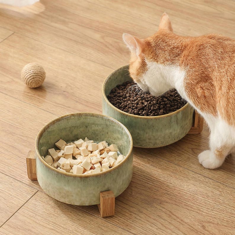 May include: Two ceramic pet bowls with a green glaze, filled with dry food and cubed treats, sit on wooden stands. A ball of twine rests nearby. An orange and white cat is eating from one of the bowls.