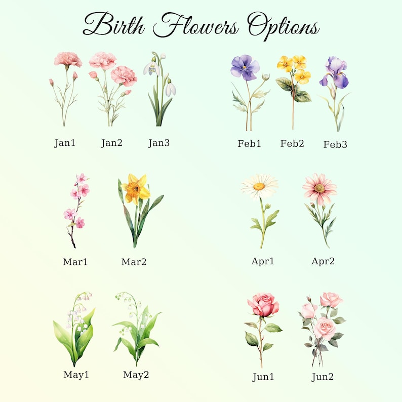 May include: Watercolor illustrations of birth flowers, each labeled with a month and number. Includes carnations, snowdrops, violets, daffodils, daisies, roses, and more. Text at the top reads "Birth Flowers Options."