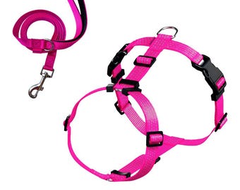 Anatomical Dog Harness and Leash Set, Adjustable, Reflective, No Choke