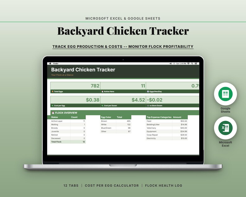 Backyard Chicken Tracker Spreadsheet | Egg Production Cost per Egg ...