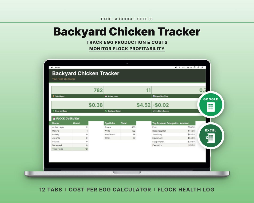 Backyard Chicken Tracker Spreadsheet | Egg Production Cost per Egg ...