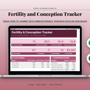 Può includere: Un laptop mostra un foglio di calcolo per il monitoraggio della fertilità e del concepimento. Lo schermo mostra dati su cicli, ovulazione e spese. Il titolo è "Fertility and Conception Tracker". Icone di Google Sheets e Microsoft Excel.