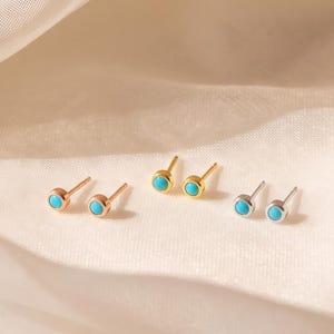 Può includere: Due paia di orecchini a lobo con piccole pietre rotonde color turchese brillante incastonate nel metallo. Un paio è realizzato in metallo color oro, mentre l'altro è in metallo color argento. Ogni orecchino ha un design semplice con perno.