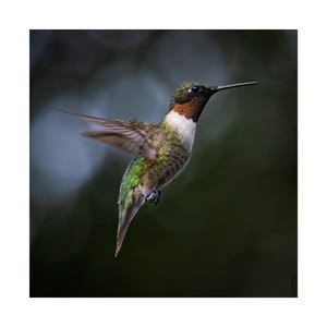 Pode incluir: Um conjunto de três canecas de cerâmica com acabamento fosco e salpicado. As canecas são em tons de creme, cinza claro e cinza escuro. Cada caneca tem um design simples e minimalista e uma alça arredondada.