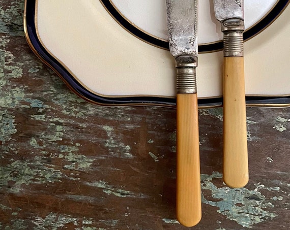Vintage Fish Knives Orange Bakelite Handles Sheffield EPNS Blades Electroplate Nickel Silver 1920s Cutlery Pair Golden Yellow Early Plastic