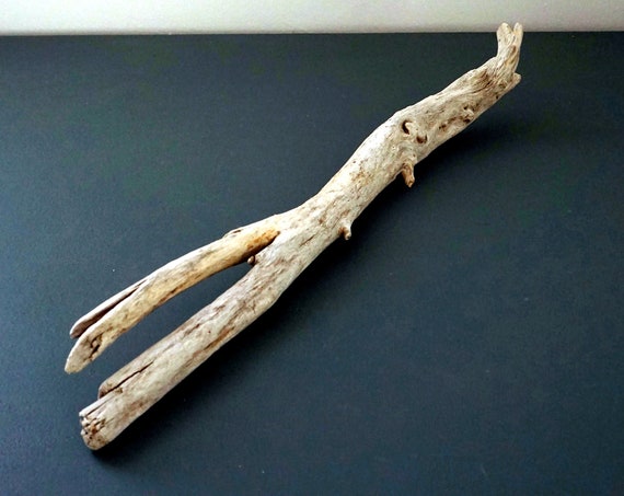 Driftwood Piece Grey Toned Wood Sea Worn Sun Bleached Beach Find Long Island Sound Salvaged Unique Sculptural Form Drift Wood Stick