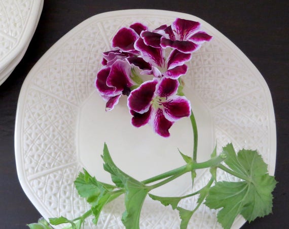 Antique Basket Weave Plates Octagonal White 1910s J.B. & W Germany Salad Plate Set of 5 Majolica Style