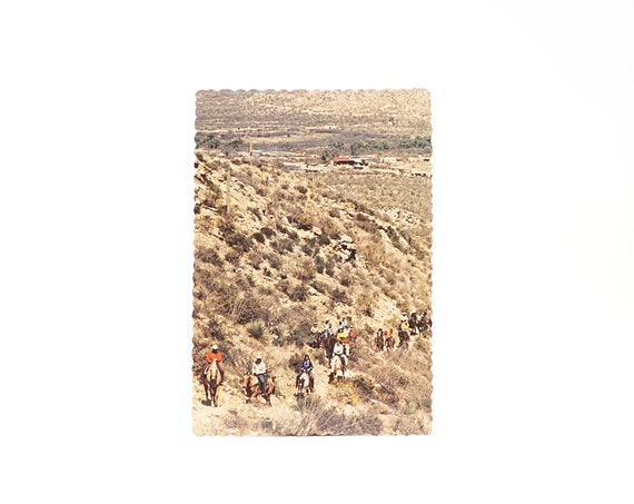 Vintage Postcard Tanque Verde Guest Ranch Tucson AZ 1960s Dexter Press Post Card Scalloped Edge Post Card 60s Desert Horse Back Hiding Photo